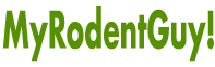 MyRodentGuy!